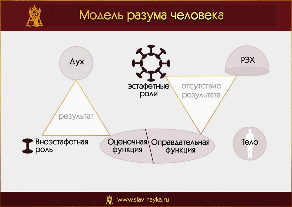 Разум. Устройство разума человека