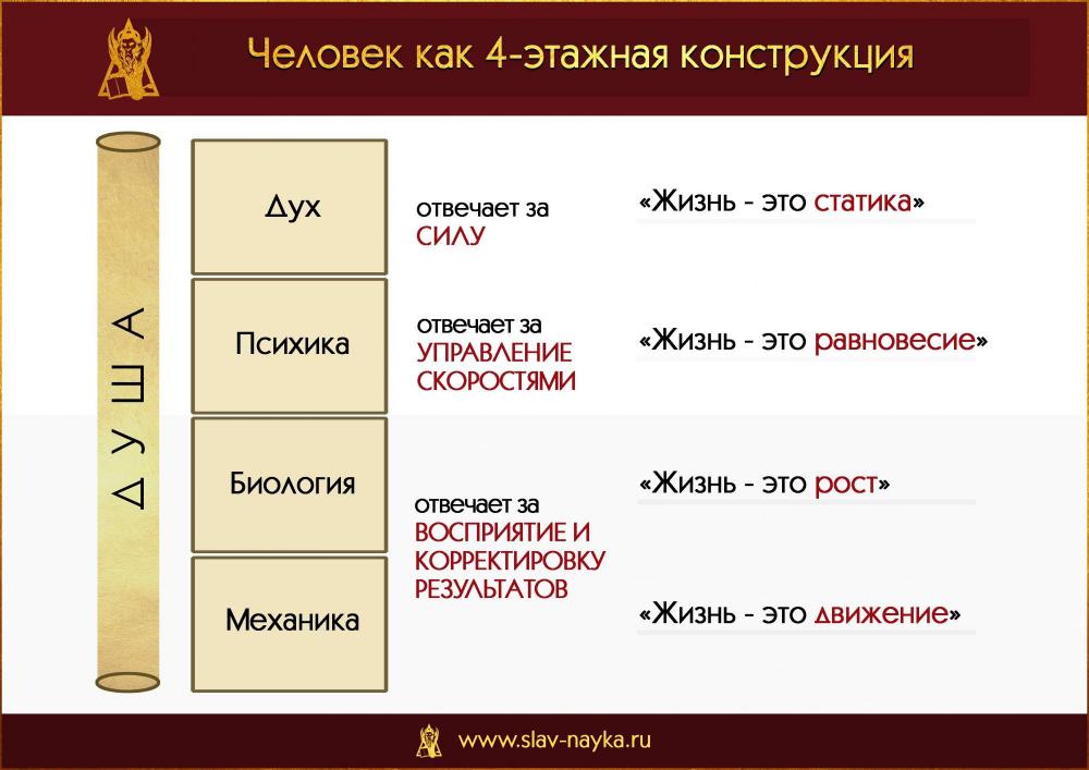 Страх и боль. Природа страха и боли