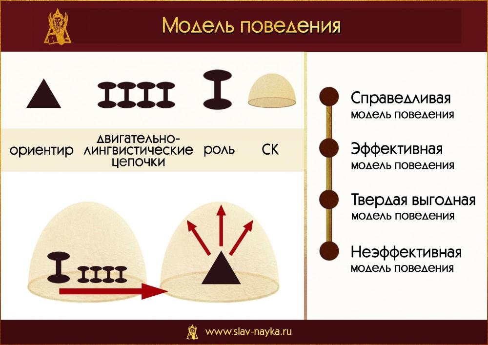 Как устроена модель поведения