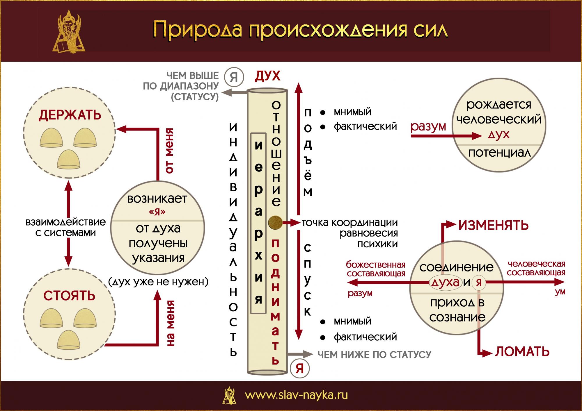 Патология Я