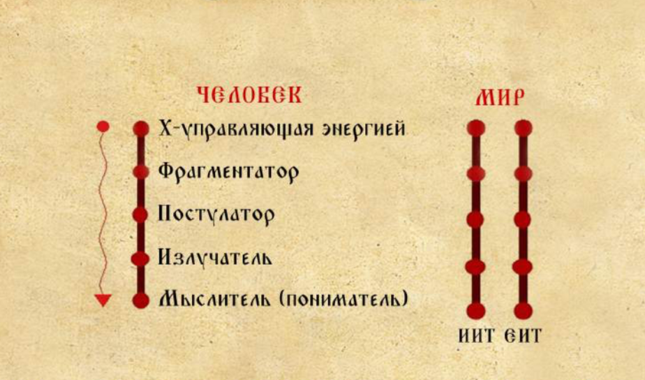 Мир как память. Ум человека 